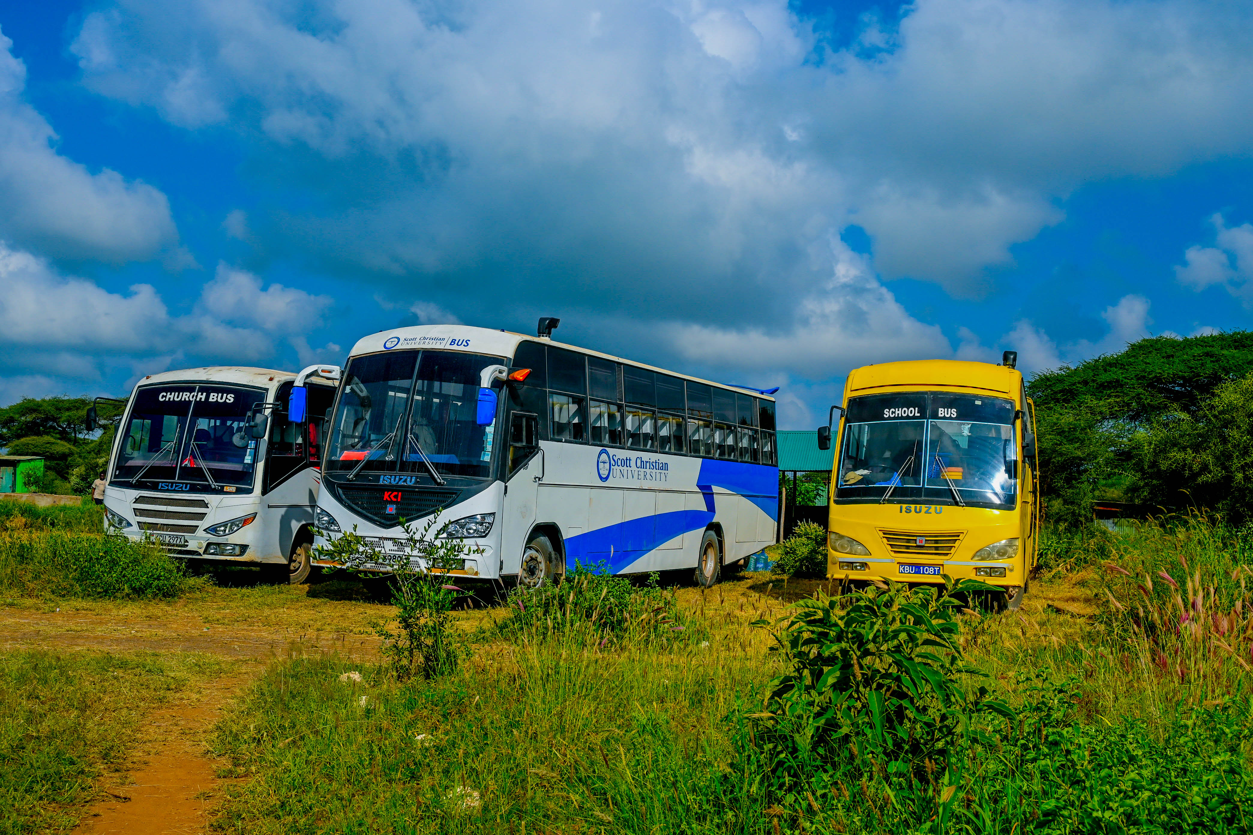 An Image Of Buses